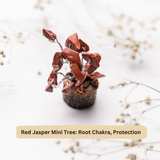 Radiant Jasper and Pyrite Gift Set